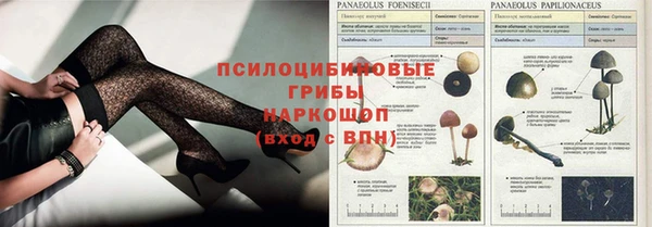 мескалин Вяземский