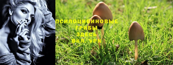 мескалин Вяземский