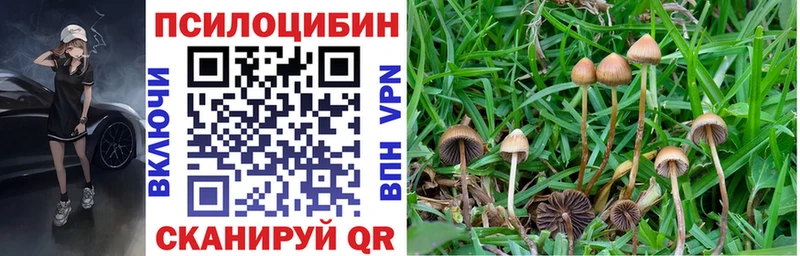 Галлюциногенные грибы MAGIC MUSHROOMS  Купить где  Качканар 